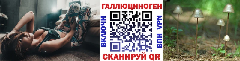 MEGA ССЫЛКА  Шиханы  Галлюциногенные грибы GOLDEN TEACHER 